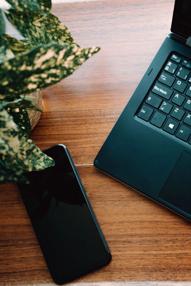 Online therapy consultation
